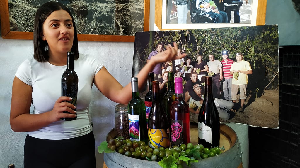 Omvisning på Vingård Gran Canaria (2)