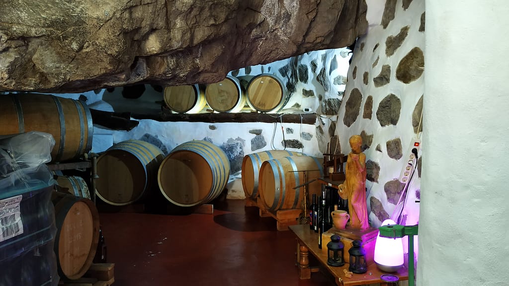 Vin - Valle de Agaete - theislandsinthesun.com