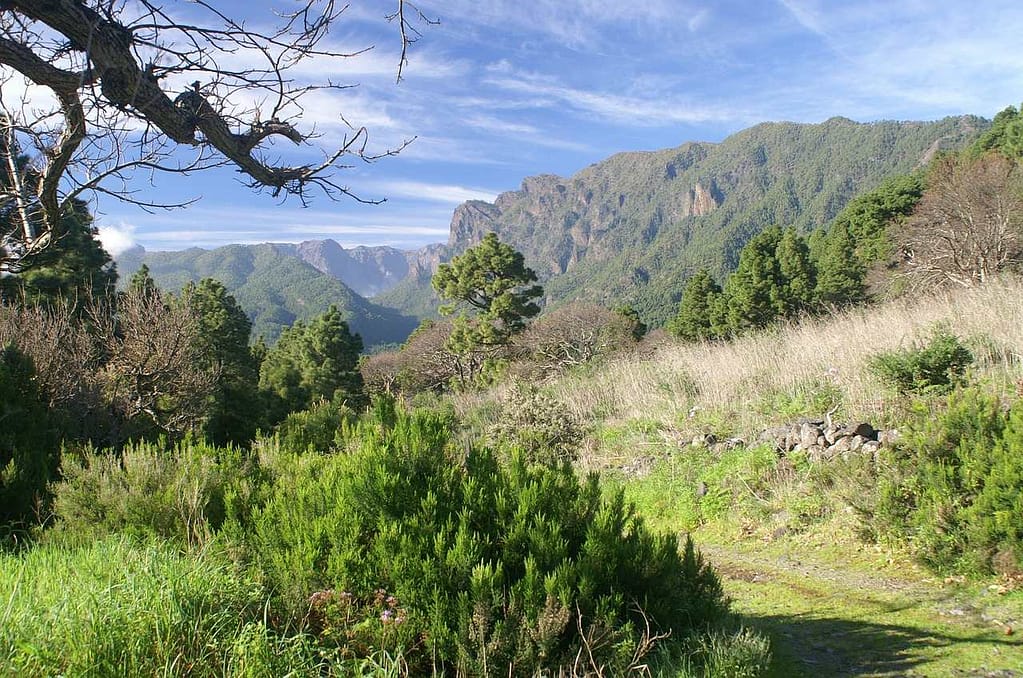 La Palma