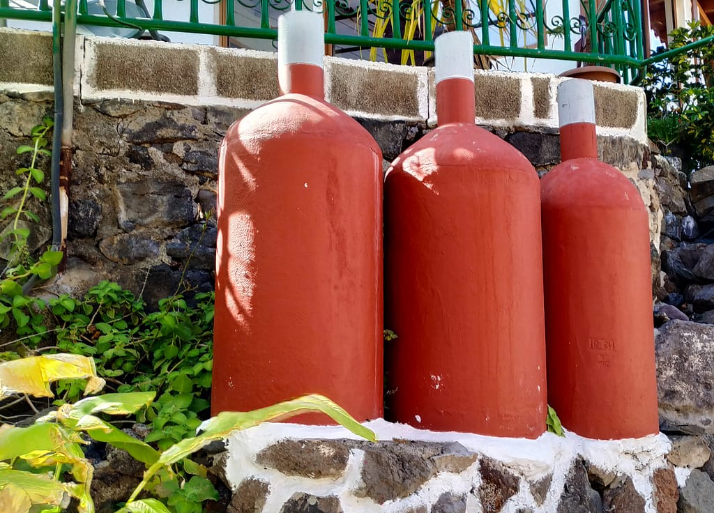 Valle de Agaete - Vin - www.theislandsinthesun.com