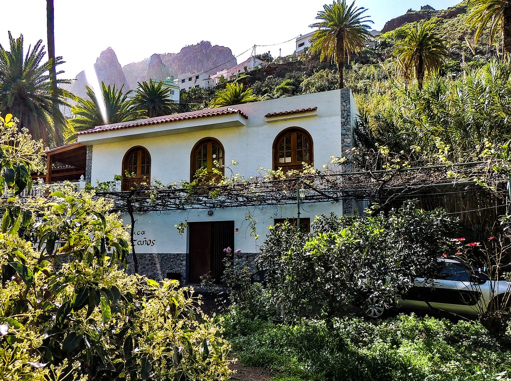 Valle de Agaete - Vin - www.theislandsinthesun.com