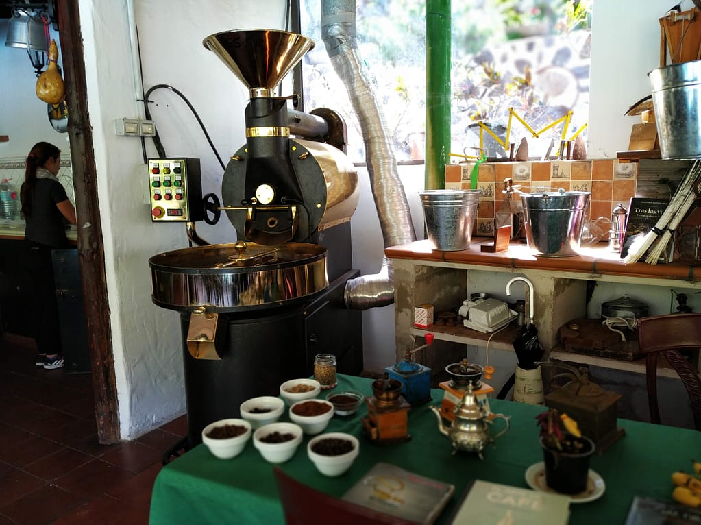 Valle de Agaete - Vin - www.theislandsinthesun.com