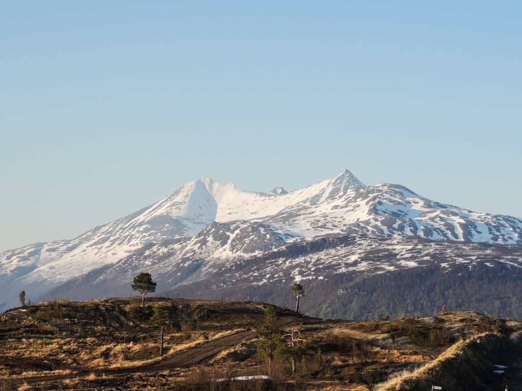 flytte til Gran Canaria - Istind Bardu