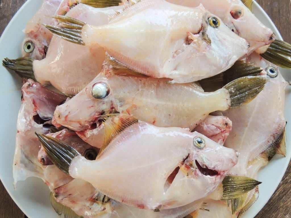 Fisketur på Gran Canaria - Stekeklar fisk