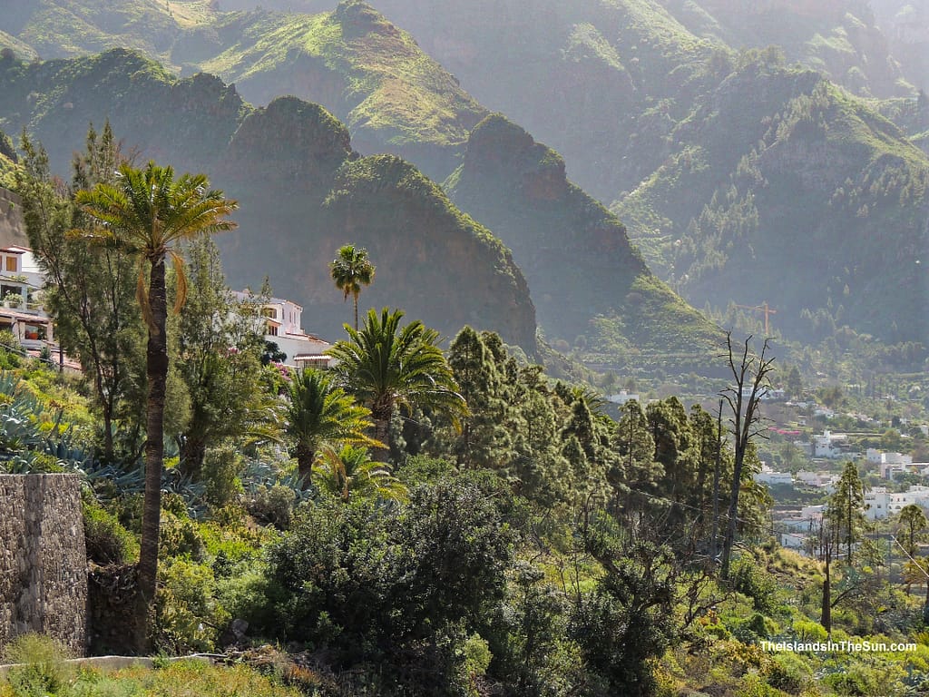 Valle de Agaete - Vin og kaffe - theislandsinthesun.com