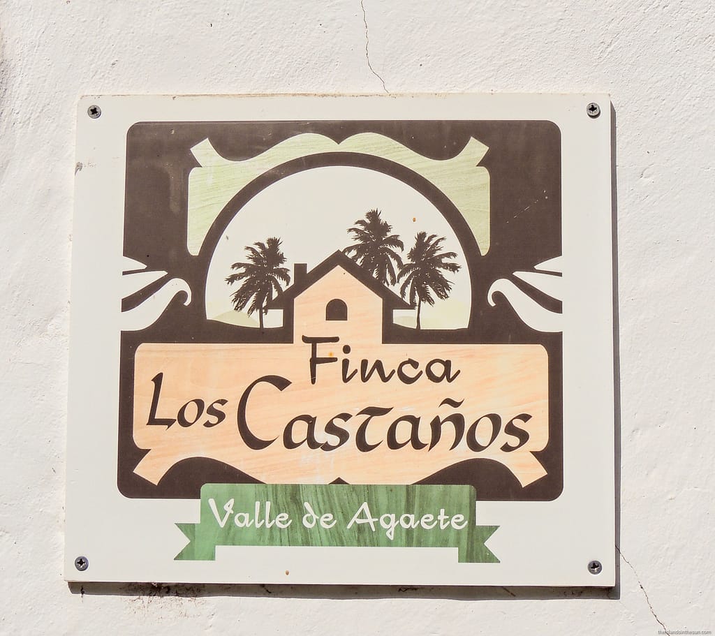 Valle de Agaete - Vin - www.theislandsinthesun.com