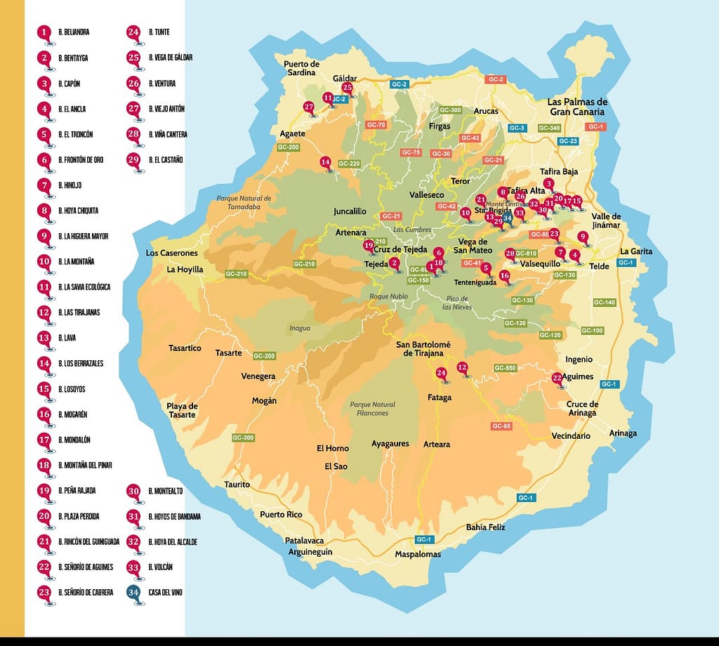 Vingårder Gran Canaria