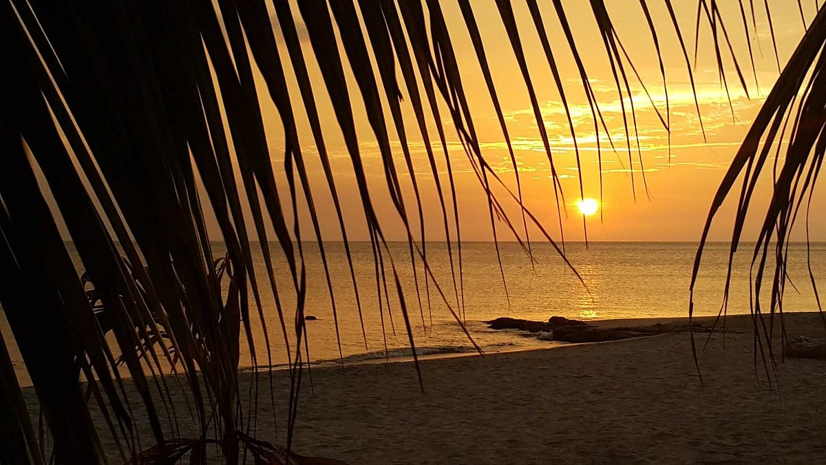 Verdens beste klima Kanariøyene Makaronesia - theislandsinthesun.com