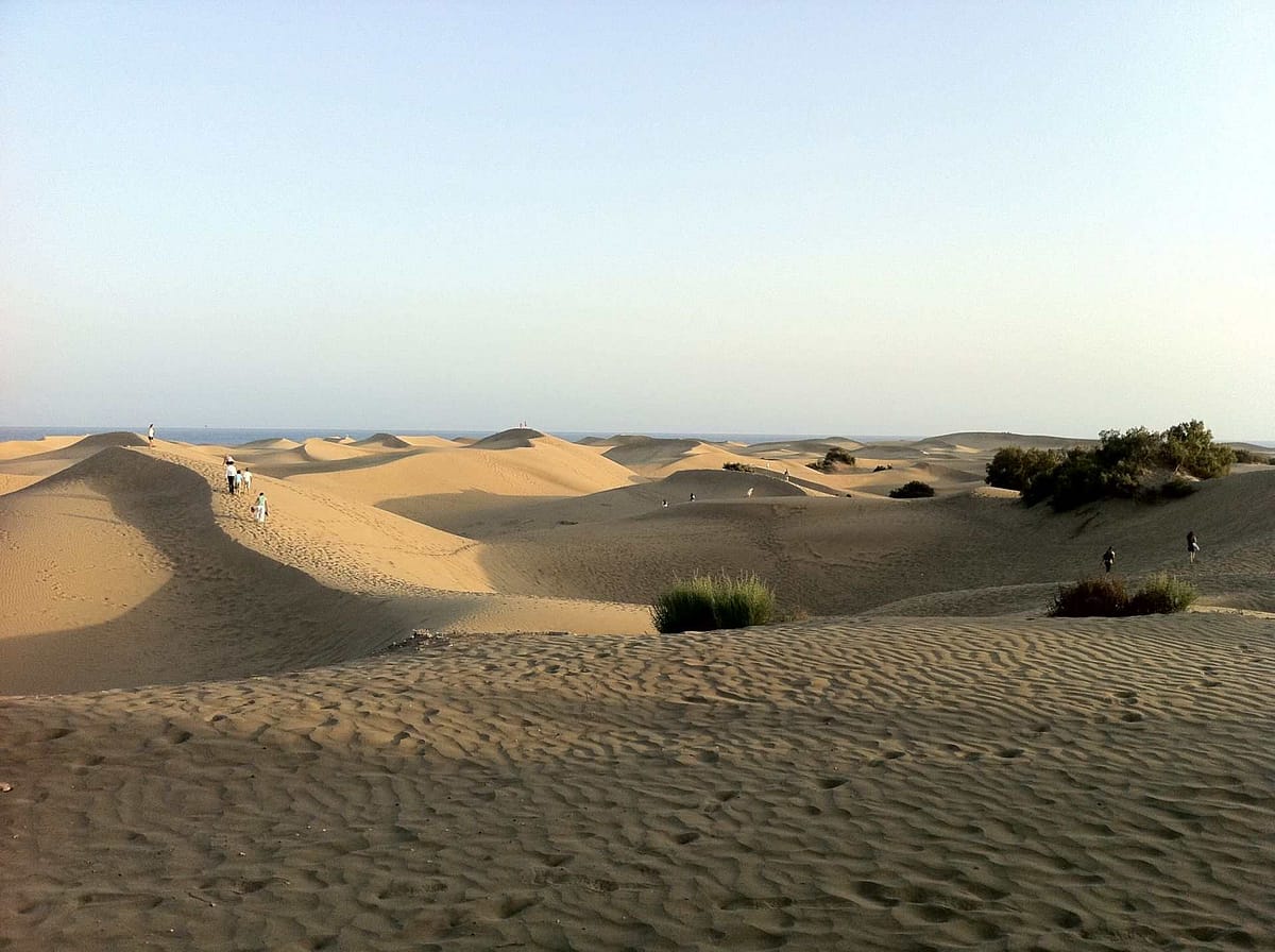 Dunas Maspalomas San Bartolomé de Tirajana Gran Canaria sør