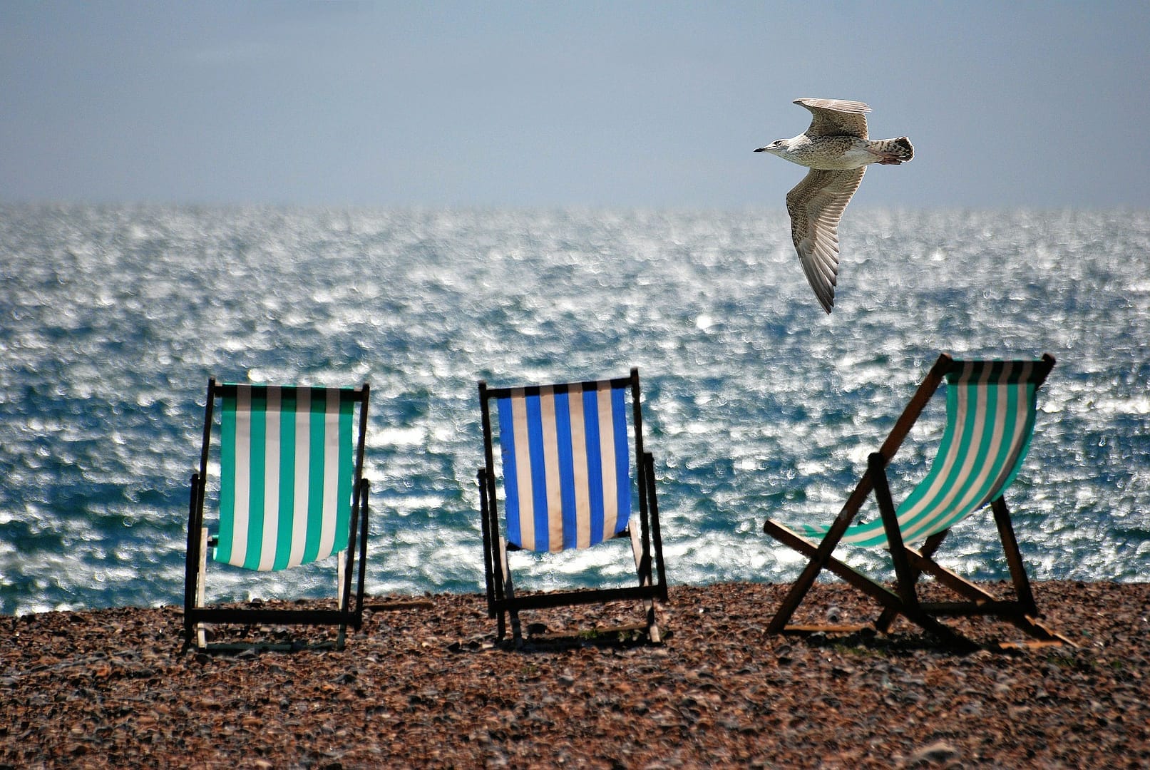 Solstoler og måke Naturiststrender www.theislandsinthesun.com