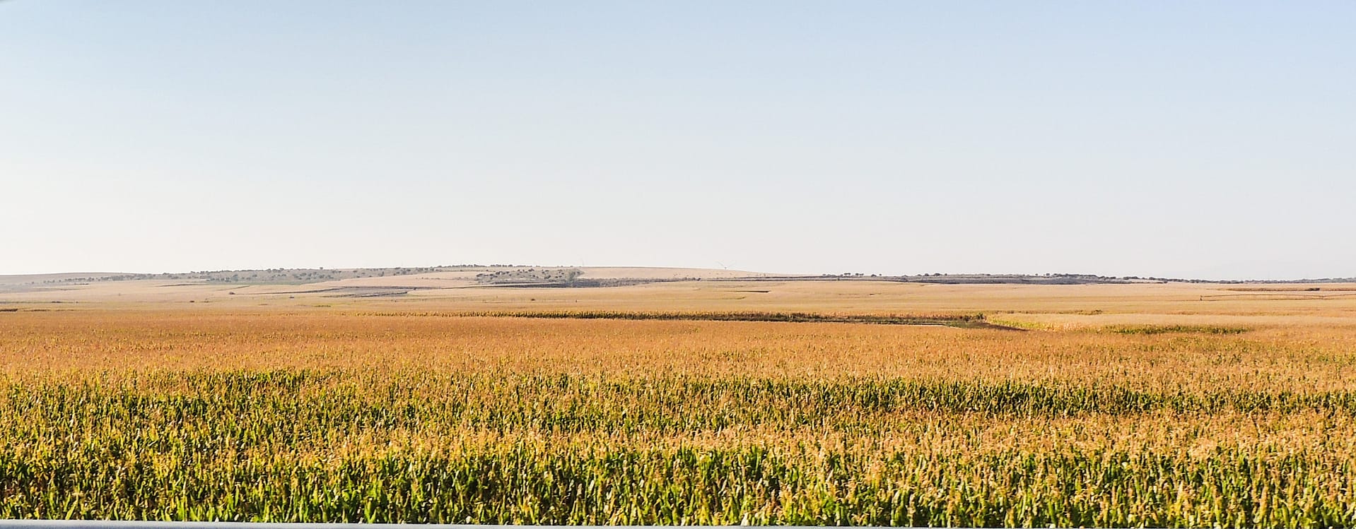 Gran Canaria til Sveits - theislandsinthesun.com