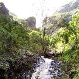 Gran Canaria Nord Firgas Gran Canaria Nord Firgas