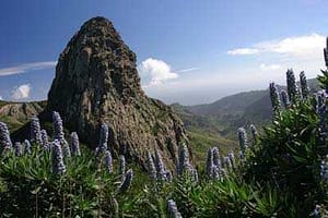 monumento_natural_los_roques La Gomera