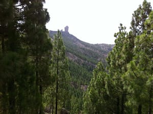 Gran Canaria Kanariøyene