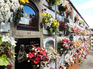 Dø i Syden, Kanariske graver Dø i Syden, Kanariske graver