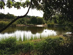 La Laguna Valleseco Gran Canaria nord - theislandsinthesun.com