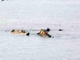 november-2007-american-star-close-up siste tiden