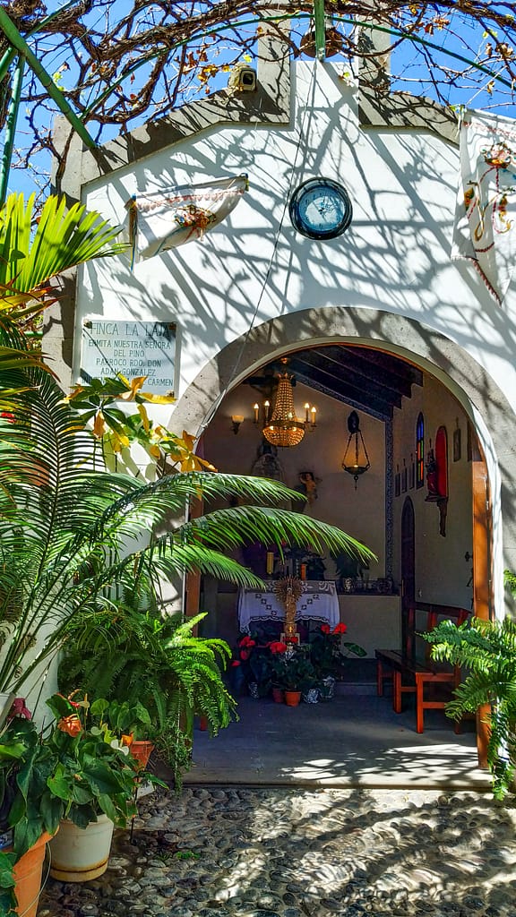 Valle de Agaete - Vin - www.theislandsinthesun.com