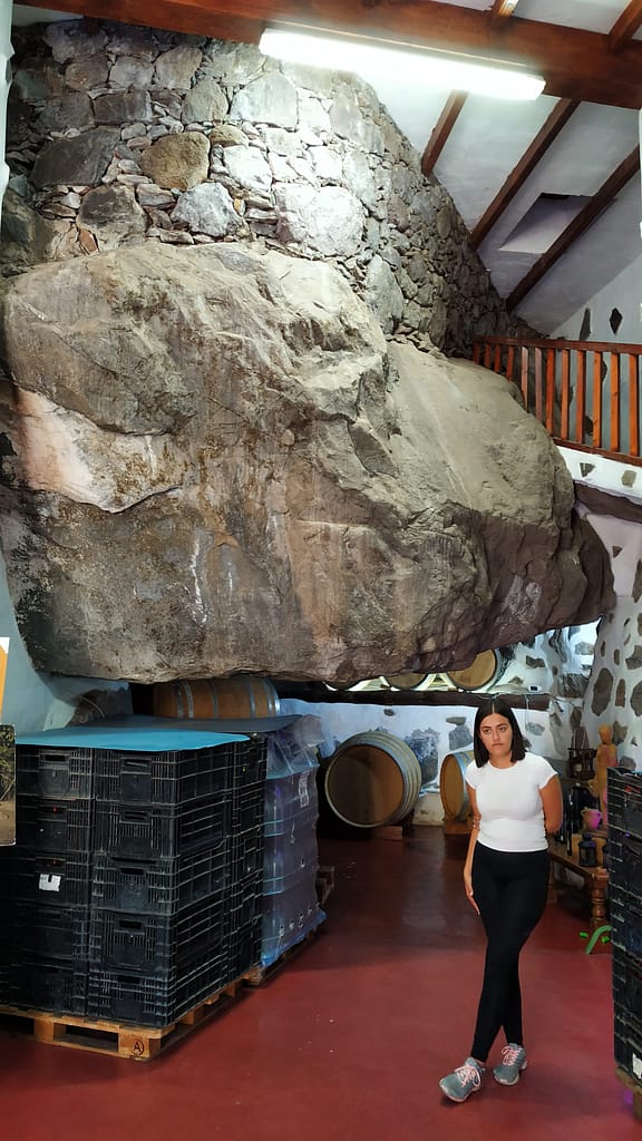 Valle de Agaete - Vin - www.theislandsinthesun.com