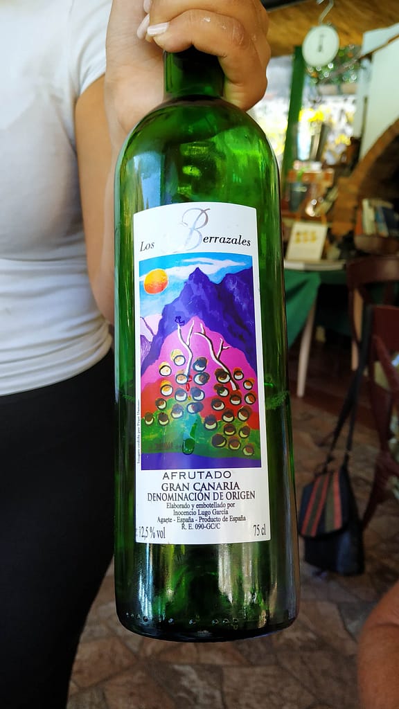 Valle de Agaete - Vin - www.theislandsinthesun.com