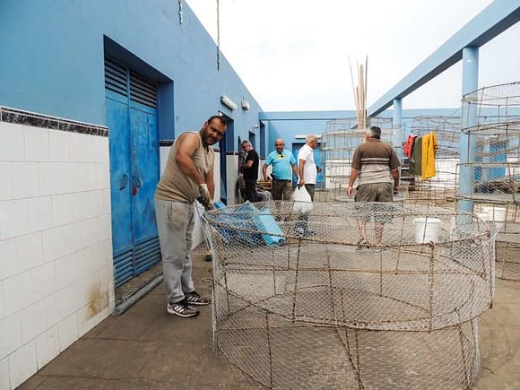 Fisketur på Gran Canaria - Castillo del romeral fisketeiner
