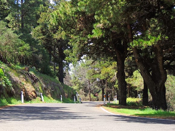 Tejeda Gran Canaria - Naturen ved Mirador Degollada