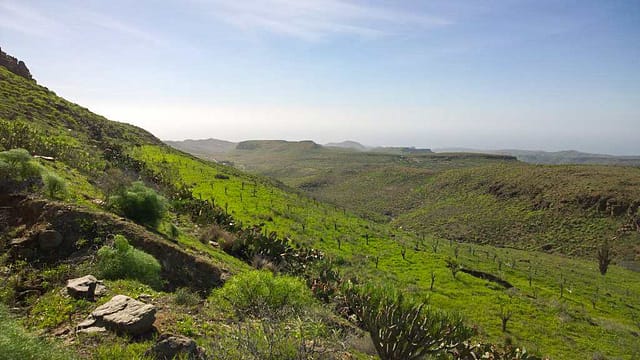 Gran Canaria Sør