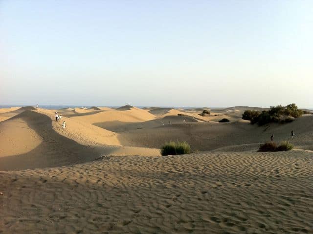 Dunas de Maspalomas/Maspalomas dunes