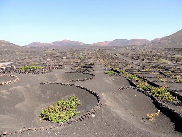 Vin, Lanzarote Vin, Lanzarote