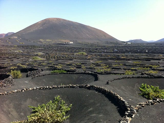 Vin, Lanzarote Vin, Lanzarote