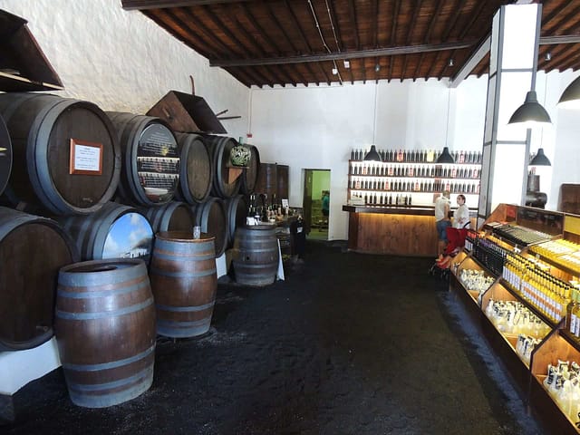 Vin, Lanzarote Vin, Lanzarote