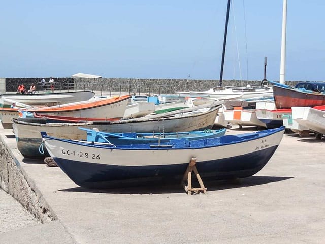 Sardina Gran Canaria Kanariøyene Makaronesia Sardina Gran Canaria Kanariøyene Makaronesia