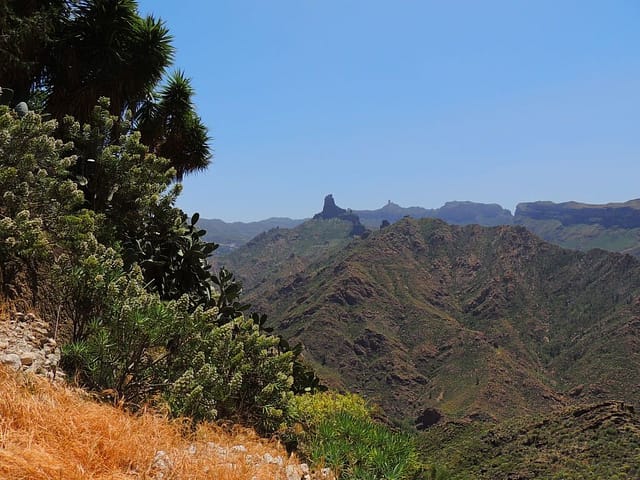 Artenara Acusa Seca 6 Artenara Gran Canaria Acusa Seca - www.theislandsinthesun.com