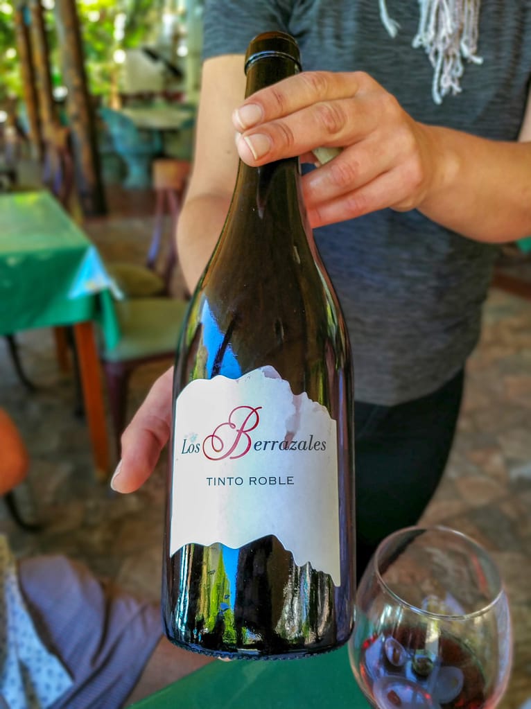 Valle de Agaete - Vin - www.theislandsinthesun.com