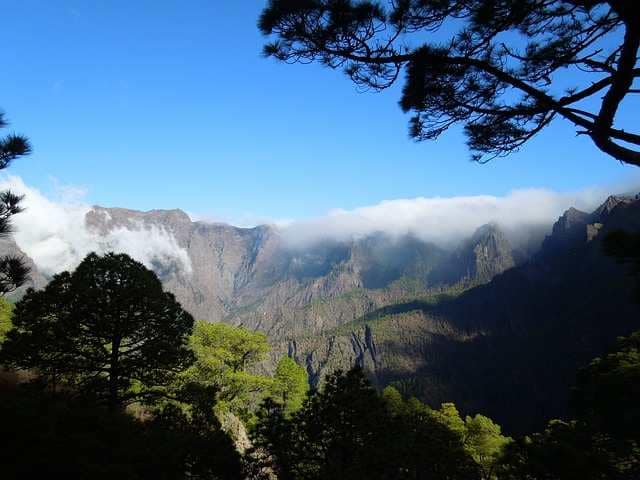 la palma
