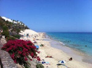 Det verste ved en Kanariøy